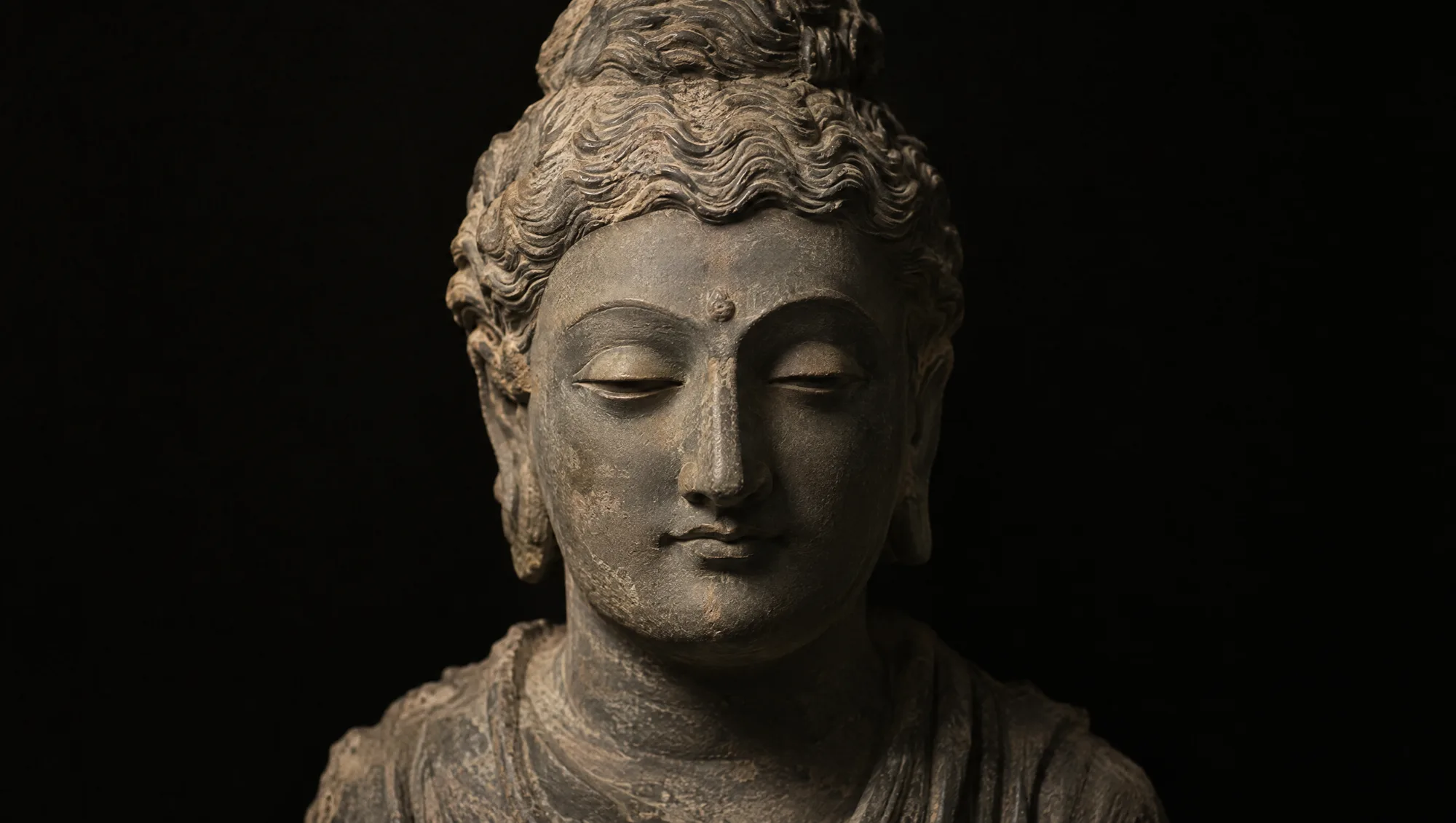 A Gandhara Buddha head in grey schist, wavy hair, eyes half closed