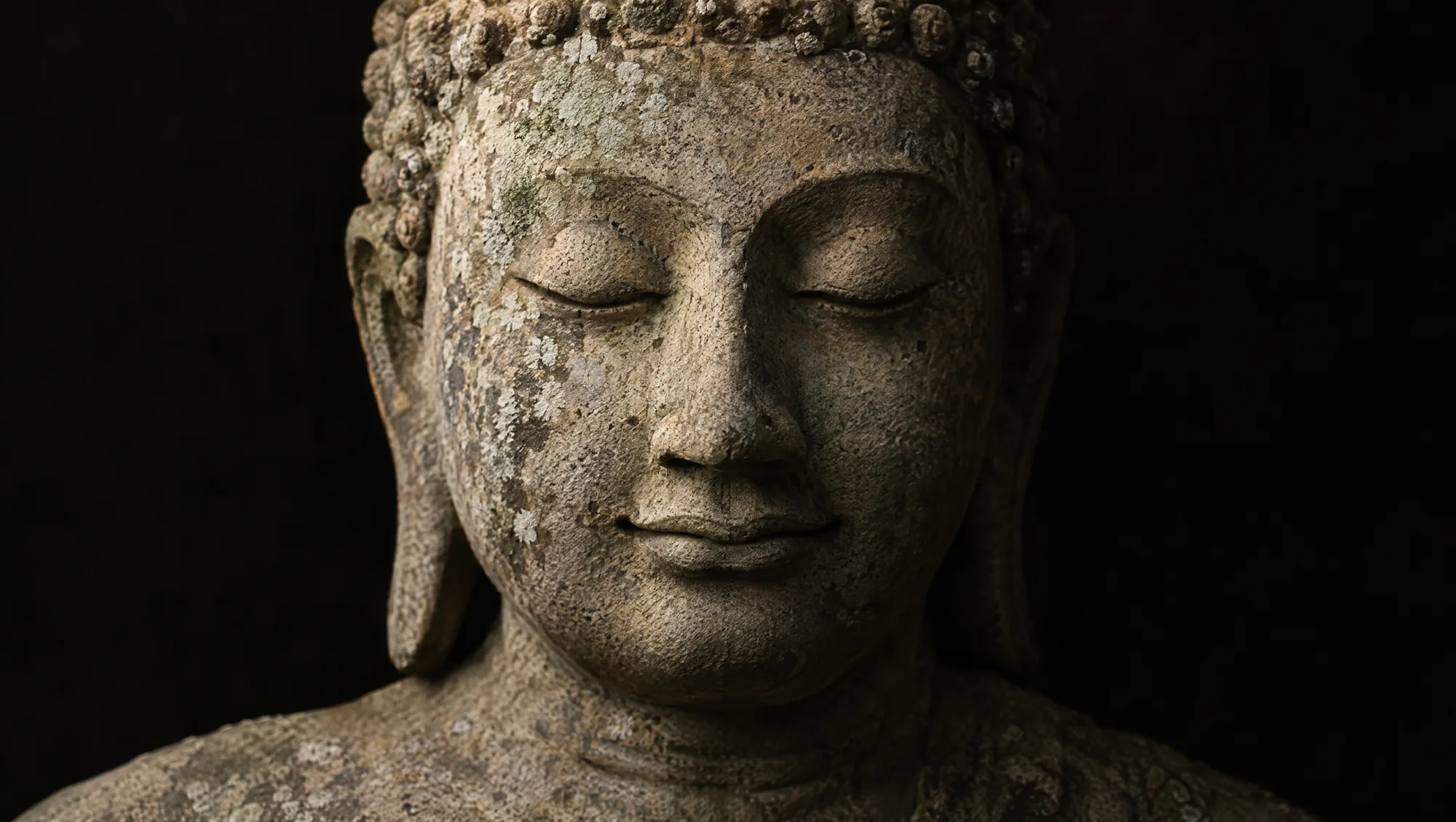 A Sri Lankan Buddha face in pale granite, eyes closed, lichen in the stone