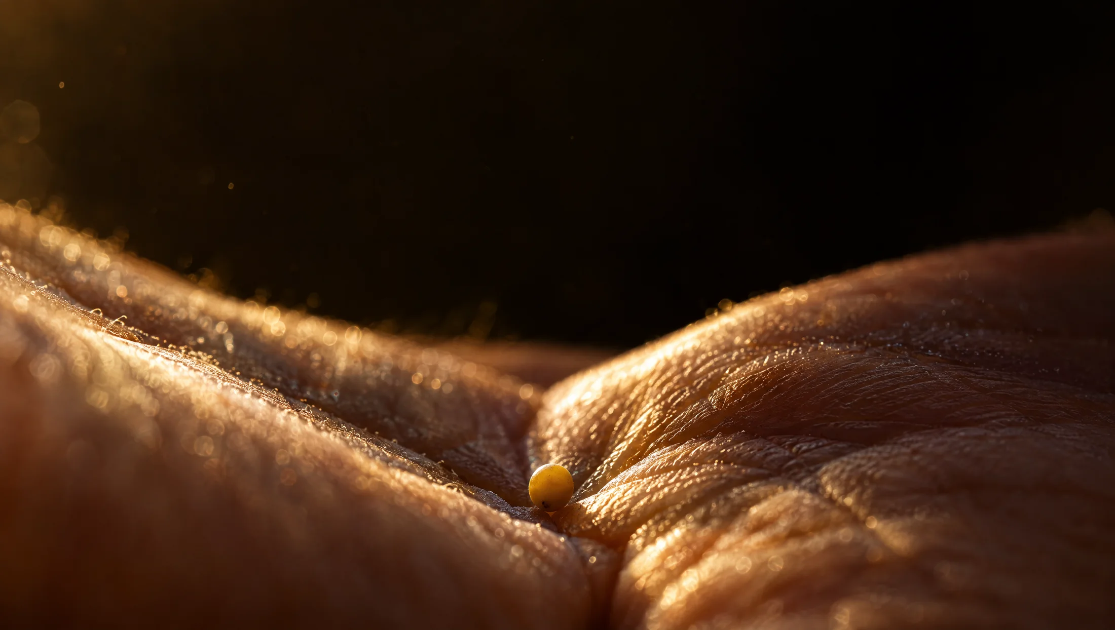 A single mustard seed in the crease of an open palm